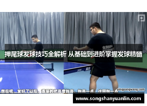 押尾球发球技巧全解析 从基础到进阶掌握发球精髓
