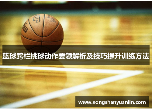 篮球跨栏挑球动作要领解析及技巧提升训练方法