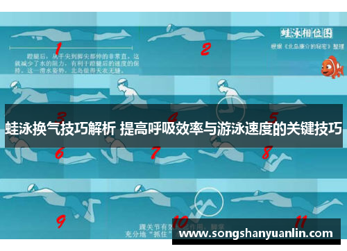蛙泳换气技巧解析 提高呼吸效率与游泳速度的关键技巧