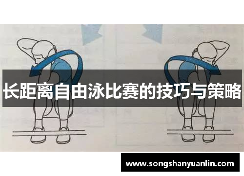 长距离自由泳比赛的技巧与策略